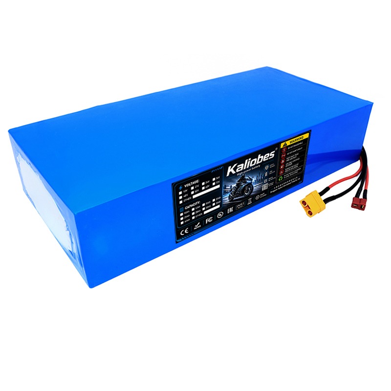 Bloc de batteries au lithium 2 - 60V 30Ah 21700 Battery Pack avis et prix